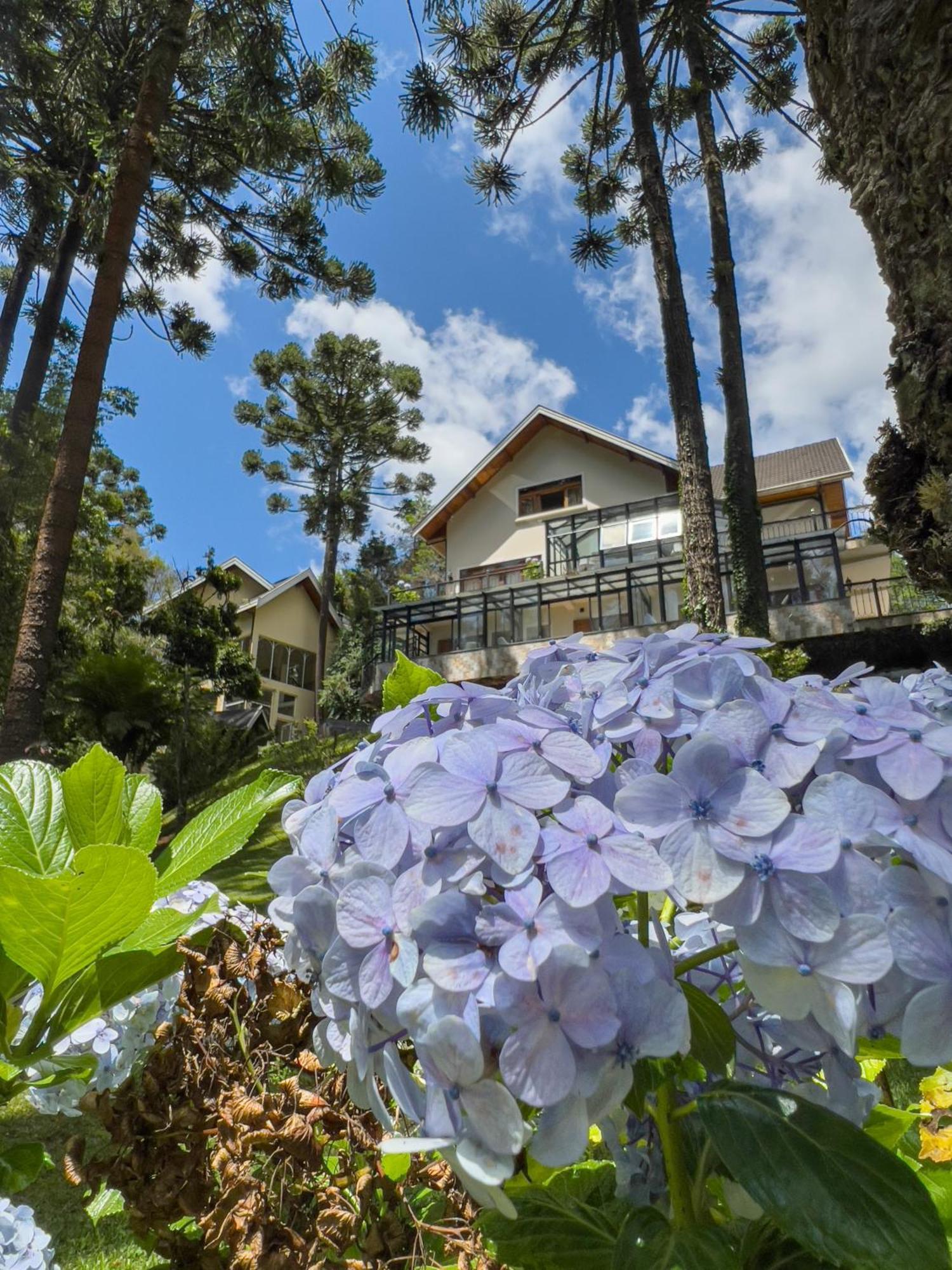 Araucaria Lodge Campos do Jordão Kültér fotó